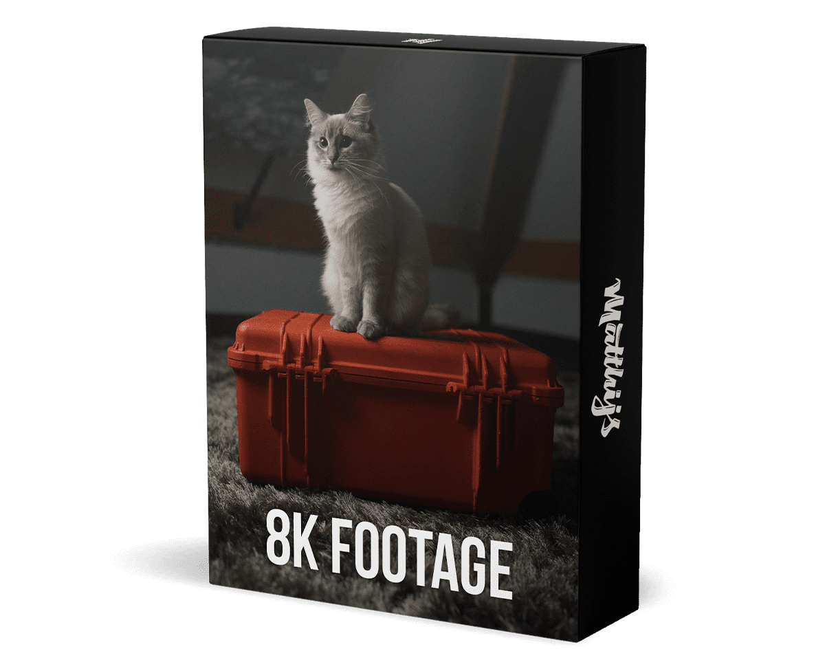 Sony A1 8k footage